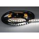 LED pás 14,4W, 24V, 140pcs/m - 2110 SMD, IP20, studená biela, šírka 10mm