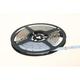LED pás 4,8W, 12V, 60pcs/m - 3528 SMD, modrý, IP20, šírka 8mm