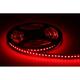 LED pás 21W, 24V, 120pcs/m - 3528 SMD, RGB, IP20, šírka 12mm