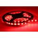 LED pás 14,4W, 24V, 60pcs /m - 5050 SMD, RGB, IP20, šírka 10mm