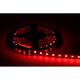 LED pás 19,2W, 24V, 60pcs/m - 5050 SMD, RGB+G, IP20, šírka 12mm