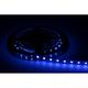 LED pás 19,2W, 24V, 60pcs/m - 5050 SMD, RGB+G, IP20, šírka 12mm