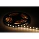 LED pás 19,2W, 24V, 60pcs/m - 5050 SMD, RGB+neutrálna biela, IP20, šírka 12mm