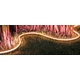 Neonflex IP67, 24VDC, 3000K, 238LED/m, 5x5mm, 8W/m